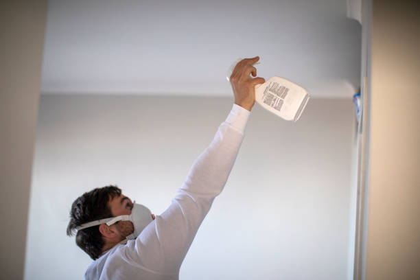Best Health and Safety Mold Remediation in Mansfield, MO