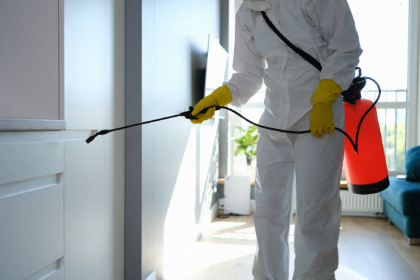 Best Emergency Mold Remediation in Mansfield, MO
