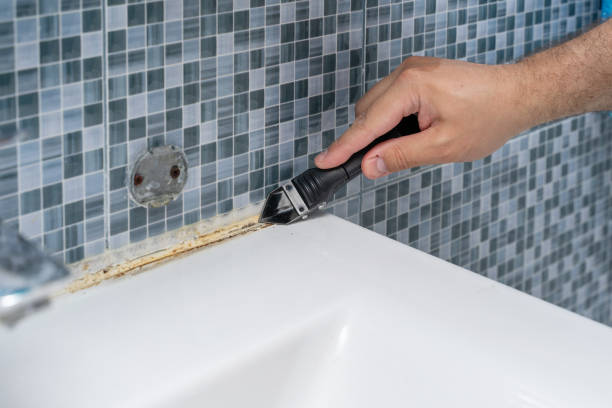 Best Basement Mold Remediation in Mansfield, MO